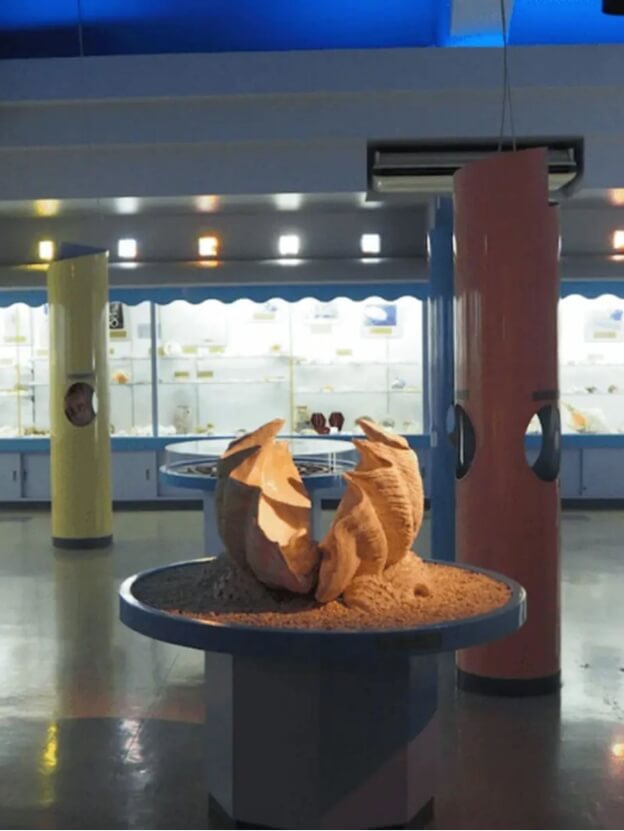 宮古島海宝館「シェル・ミュージアム」